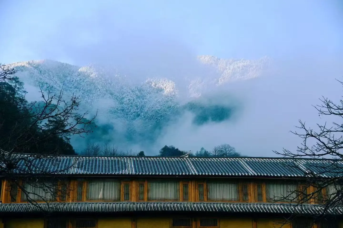 Life in Shangri-La:Yunnan Snub-nosed Monkey, White Horse Snow Mountain and Wooden Houses